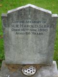 image of grave number 271554